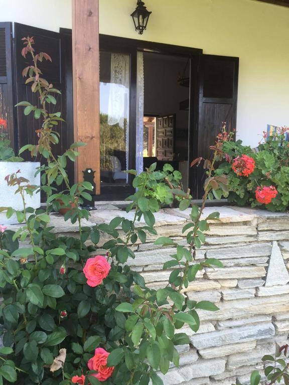 White Sand Villa Koviou Beach Nikiti Sithonia Buitenkant foto
